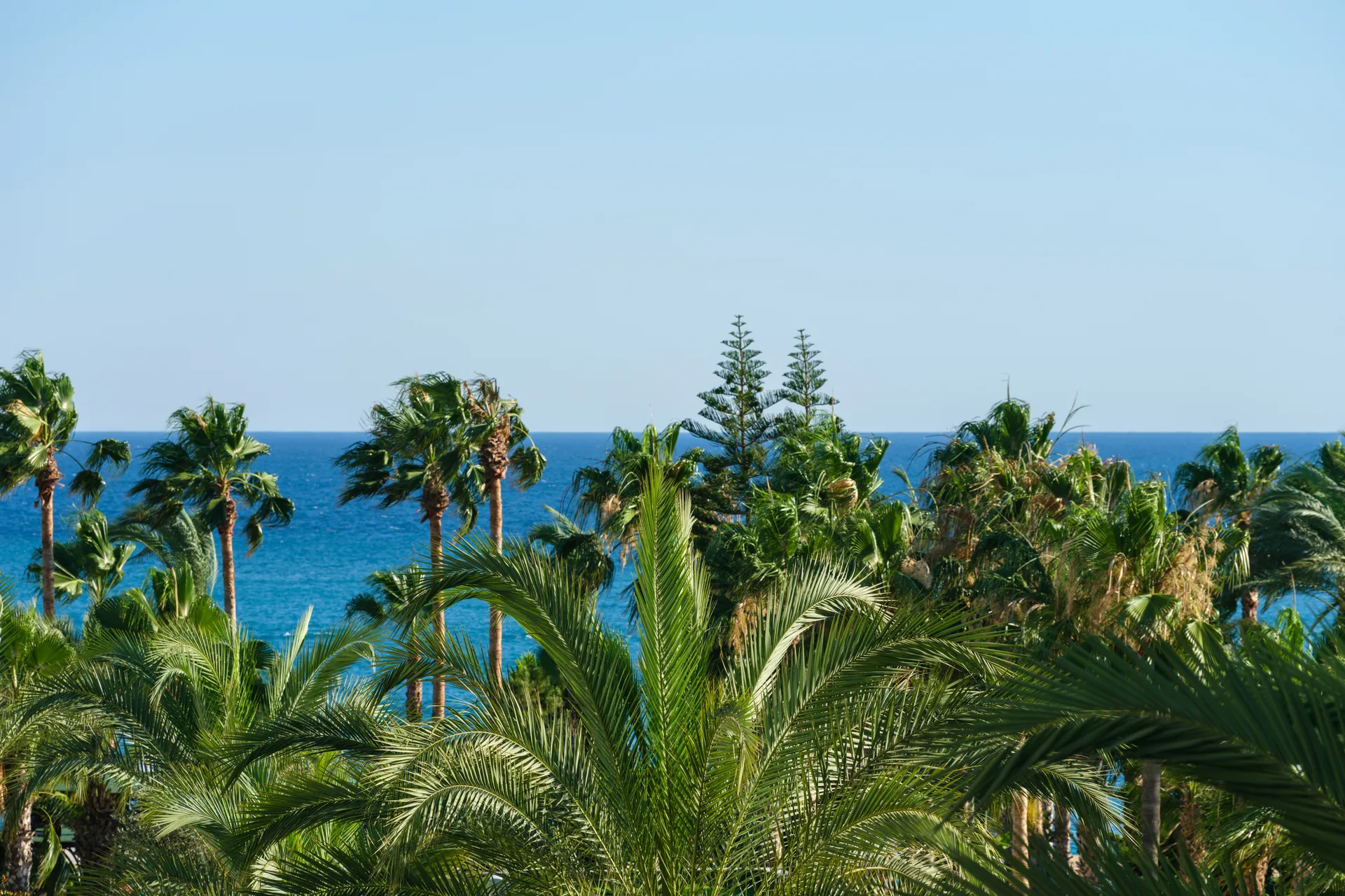 Secrets Cap Cana: High-End Honeymoon Resort with VIP Concierge